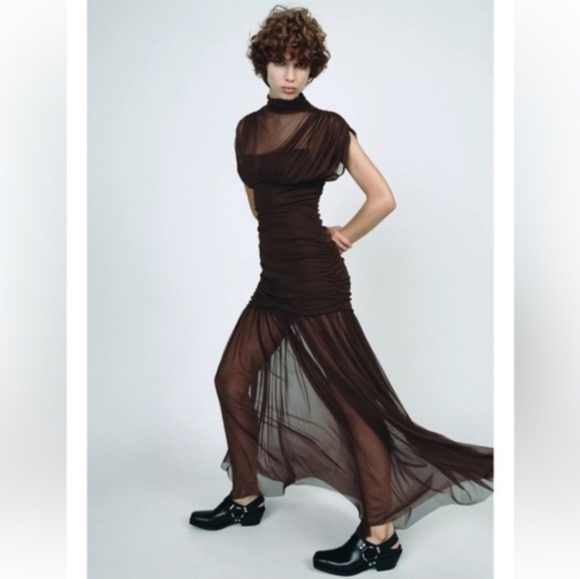 Zara Brown Draped Maxi Dress with Sheer Skirt - Picture 16 of 16